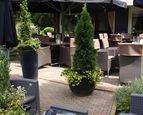Nationale Horeca Cadeaukaart Epe Veluws Eethuis Wissel